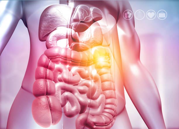 gut health